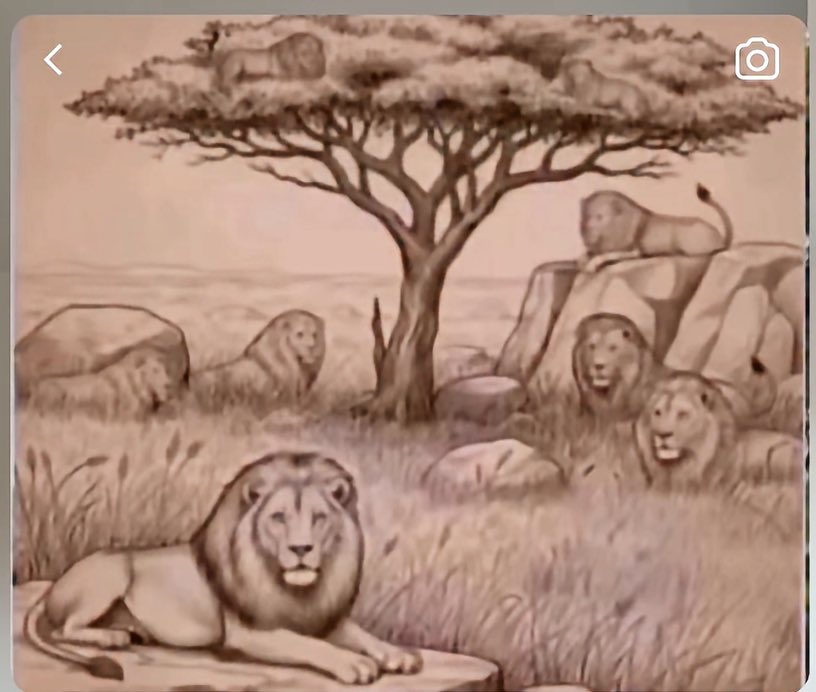 𝑲𝒉𝒂𝒍𝒊𝒍𝒐𝒖𝒍𝒂𝒉🇸🇳 tweet media