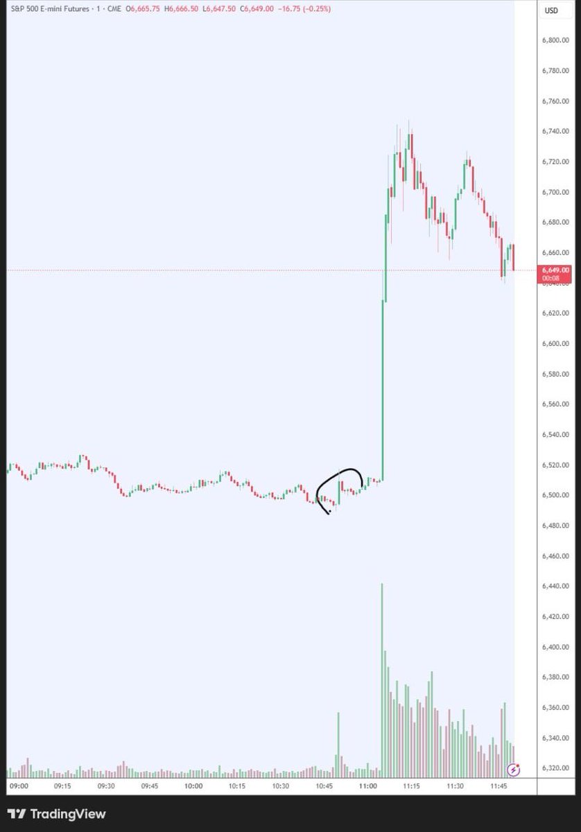 Nika Mironova tweet media