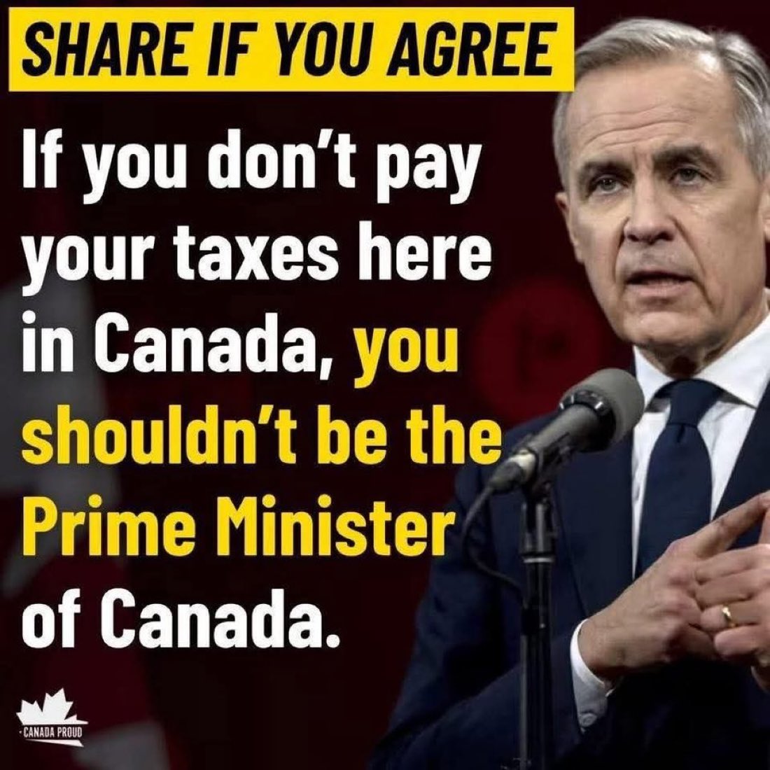 Concerned Canadian tweet media