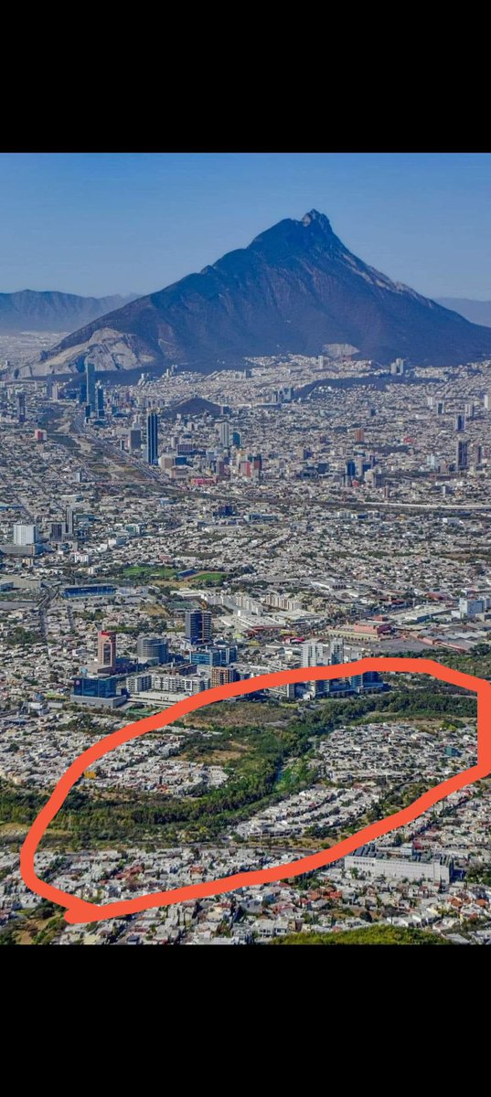 G. Martínez Berlanga tweet media