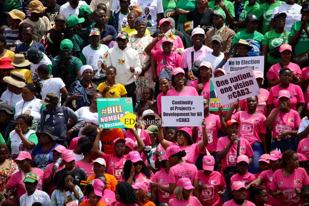 EDevolutionZW tweet media