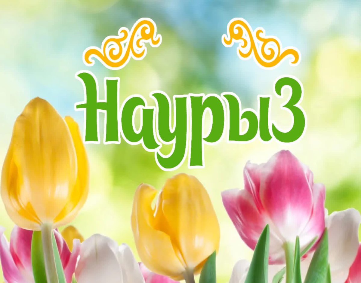 Feson Shokoory tweet media