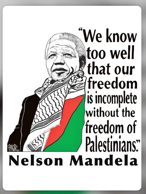 Naila Ayad🇵🇸 tweet media