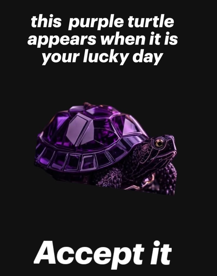 Law_of_attraction tweet media