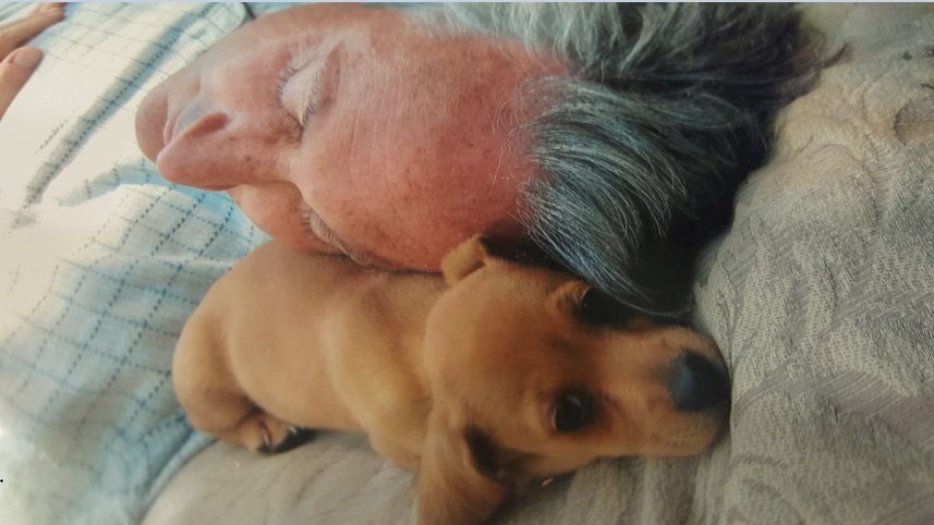 Kevin Williams tweet media