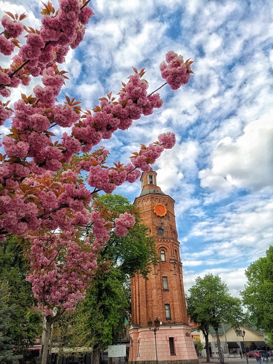 вінницький яґамі лайт🇺🇦 tweet media