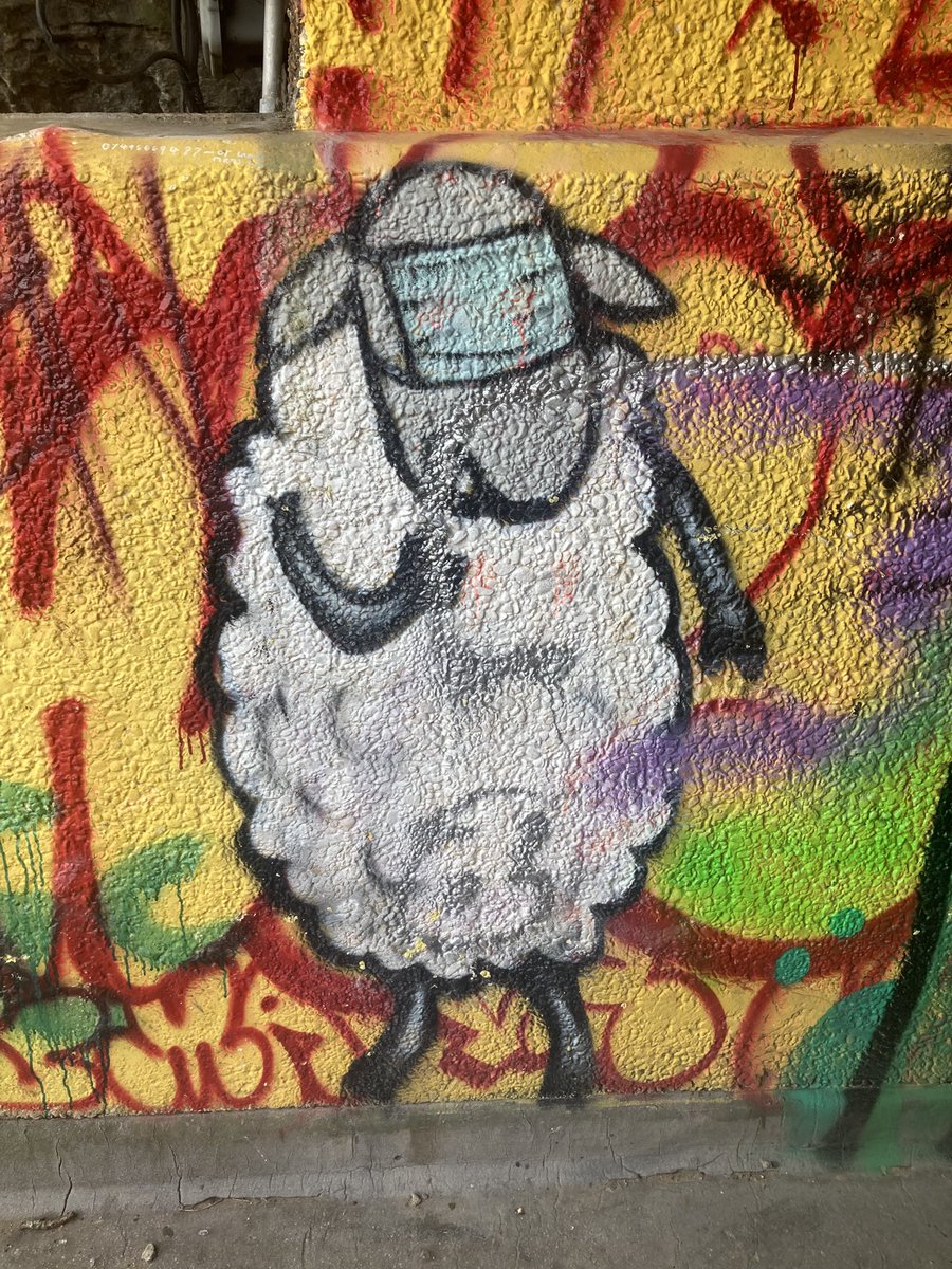 Blue 🦋 Butterfly tweet media