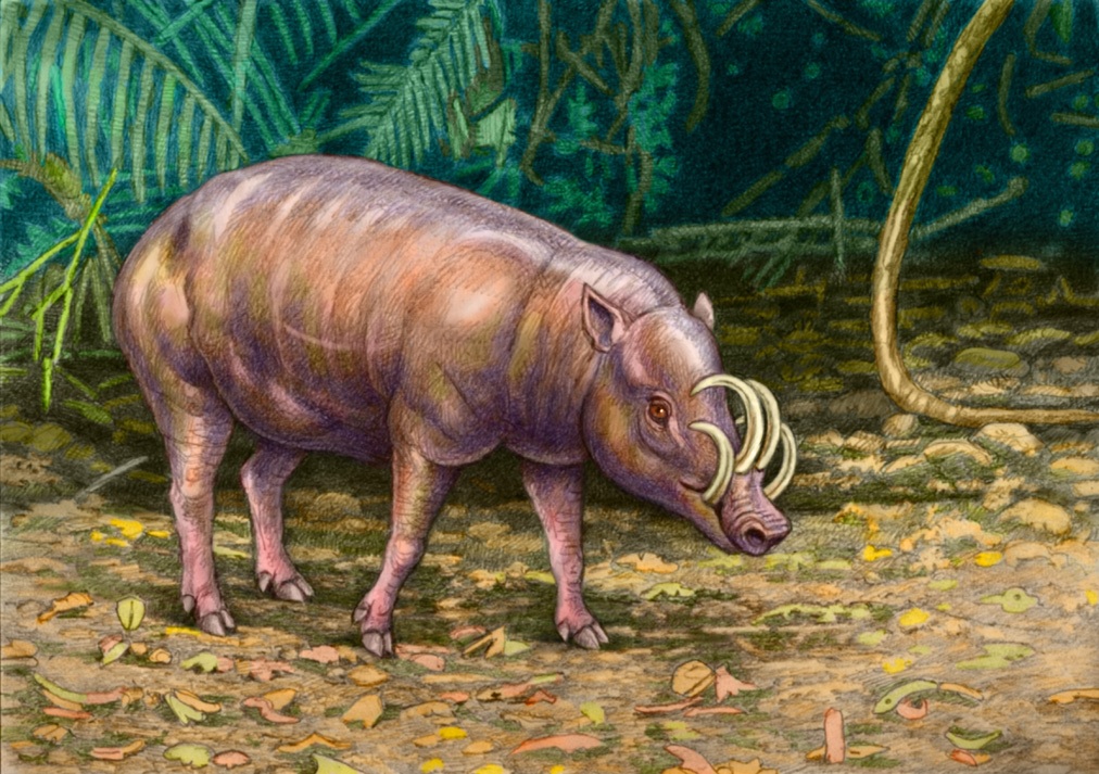 h2g2 Guide Editors tweet media