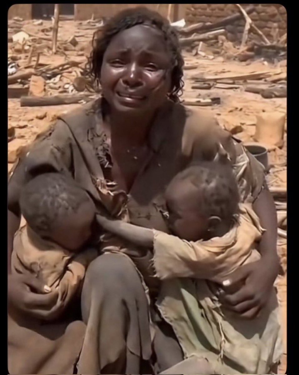 رجعو النيزك حقنا tweet media