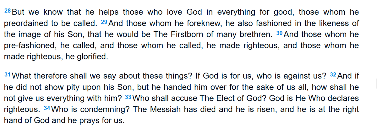 Imago Dei tweet media