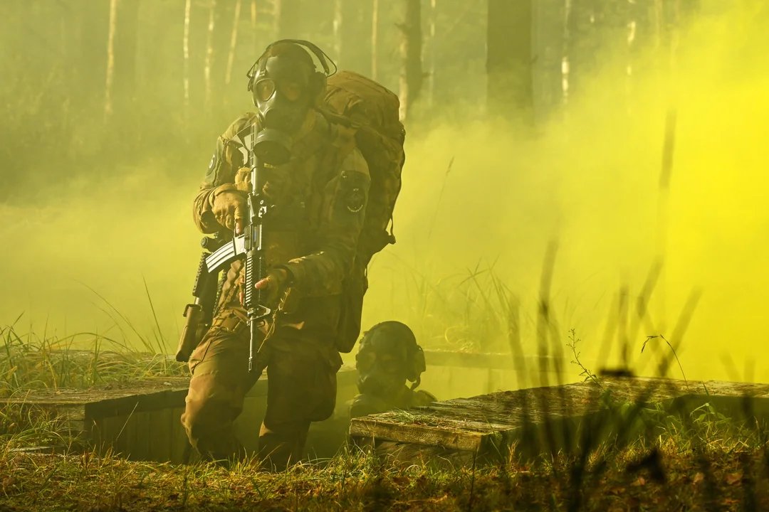 𝙉𝙞𝙛 tweet media