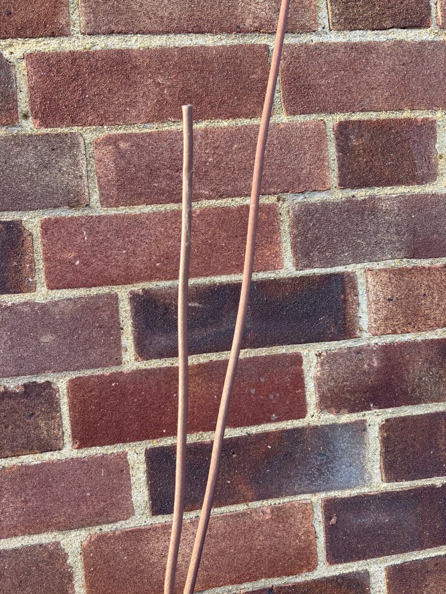 Connie Dunlop tweet media