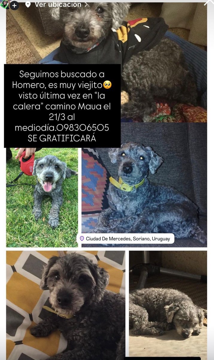 siempreácida tweet media