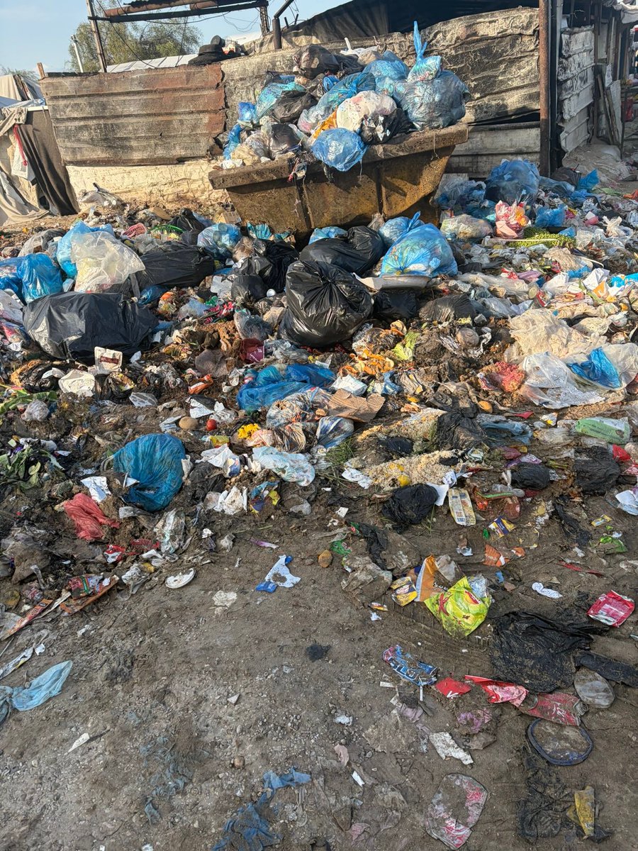 راجيٰ |𓂆 𝗥𝗮𝗷𝗶 tweet media