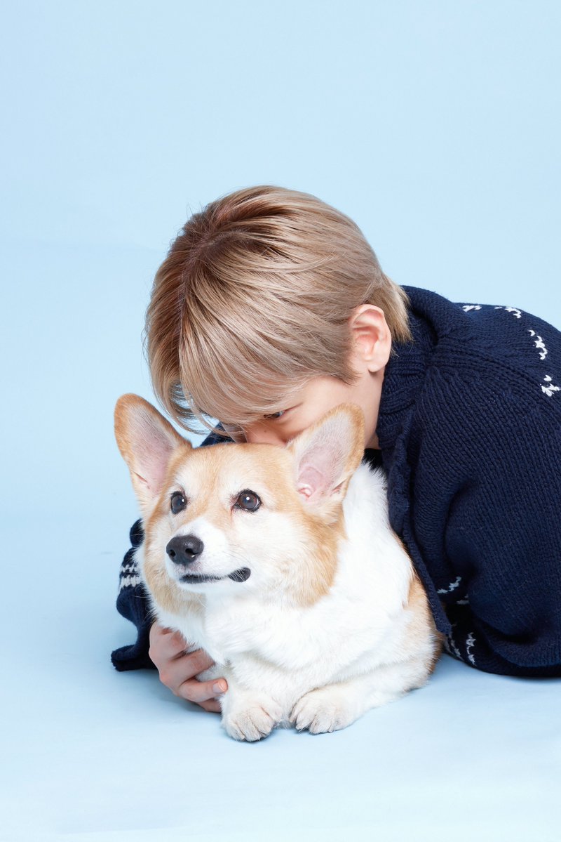 BAEKHYUN WORLD tweet media