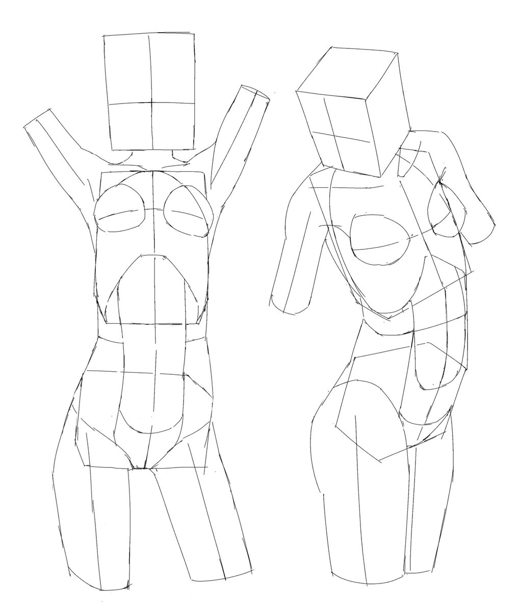 植物脂 (@mgrnmv) on Twitter photo 