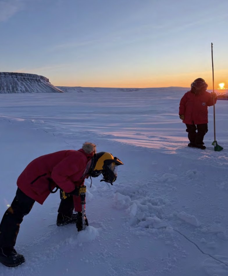 CornellArts&Sciences tweet media