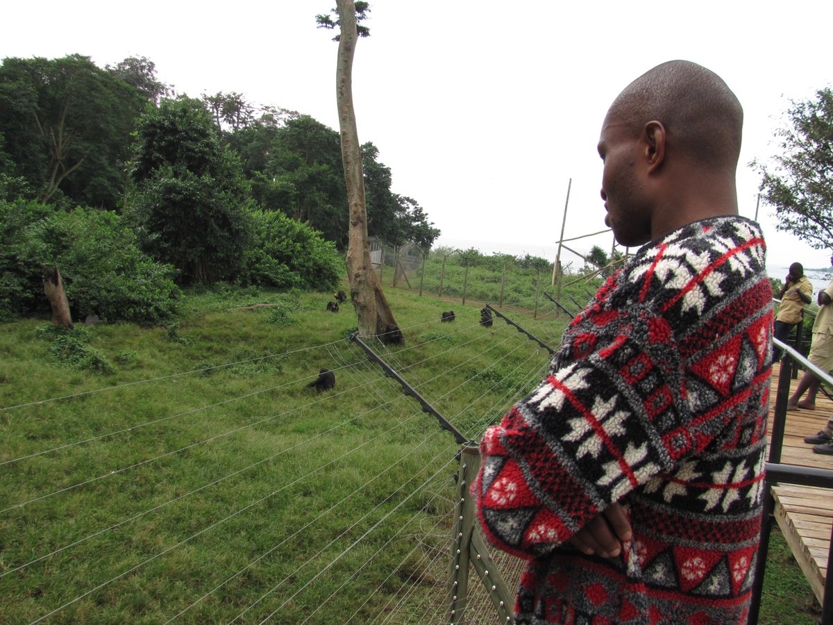 Shuaa Safaris Limited tweet media