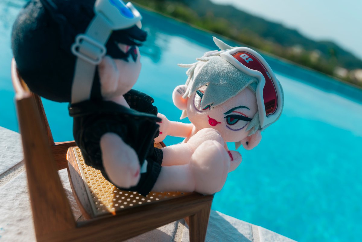 🦊📷🧸 tweet media