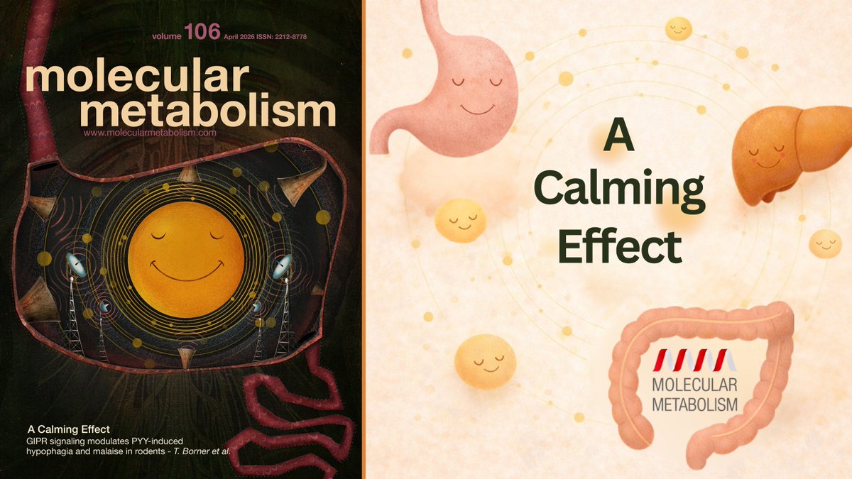 Molecular Metabolism tweet media