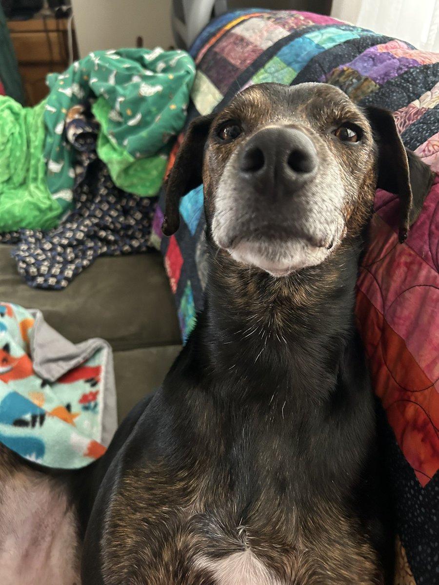 Lucky and Angel Zenith 🌈 tweet media