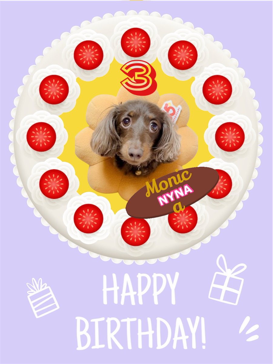 コニーアンドニーナ　CONYandNYNA🐾 tweet media