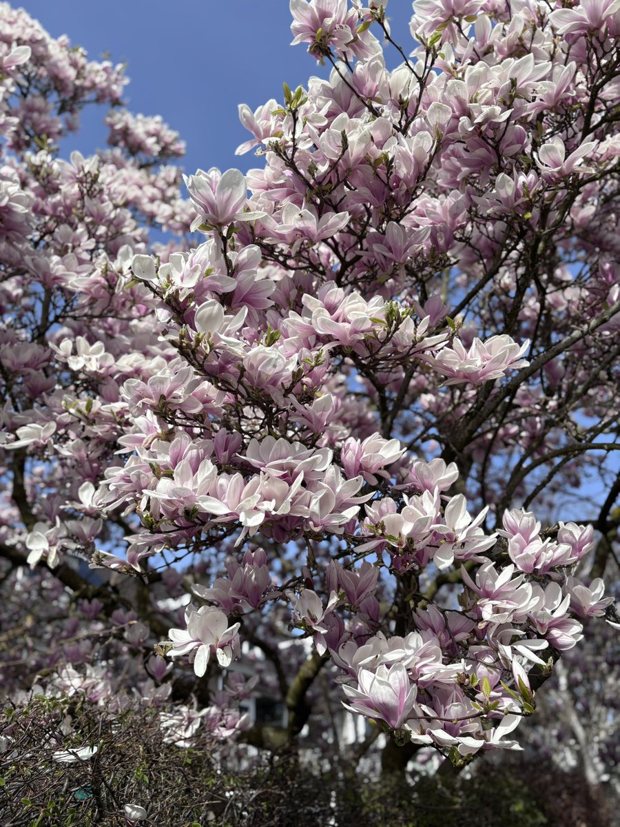 Keykisa2 tweet media