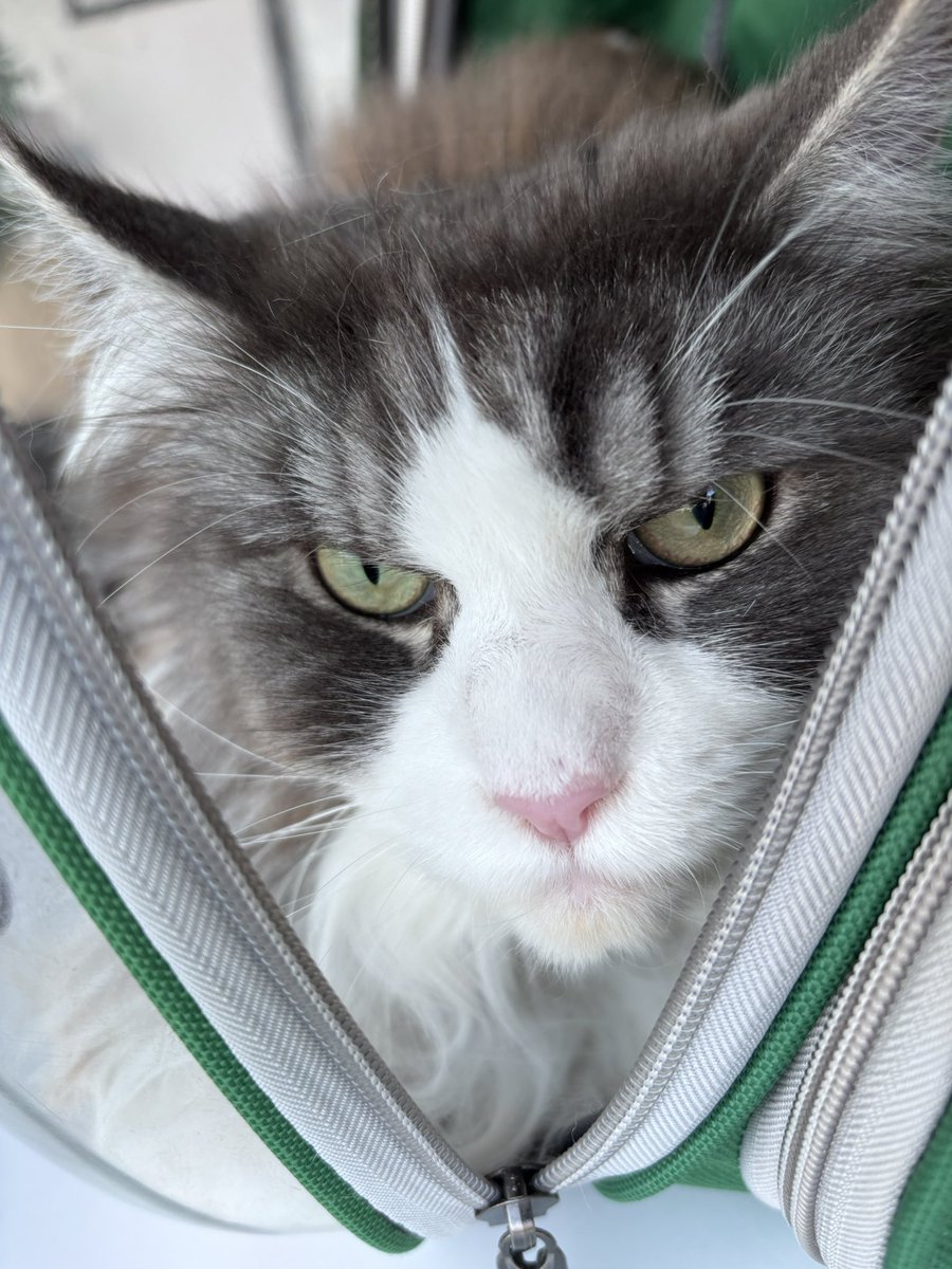 Keykisa2 tweet media