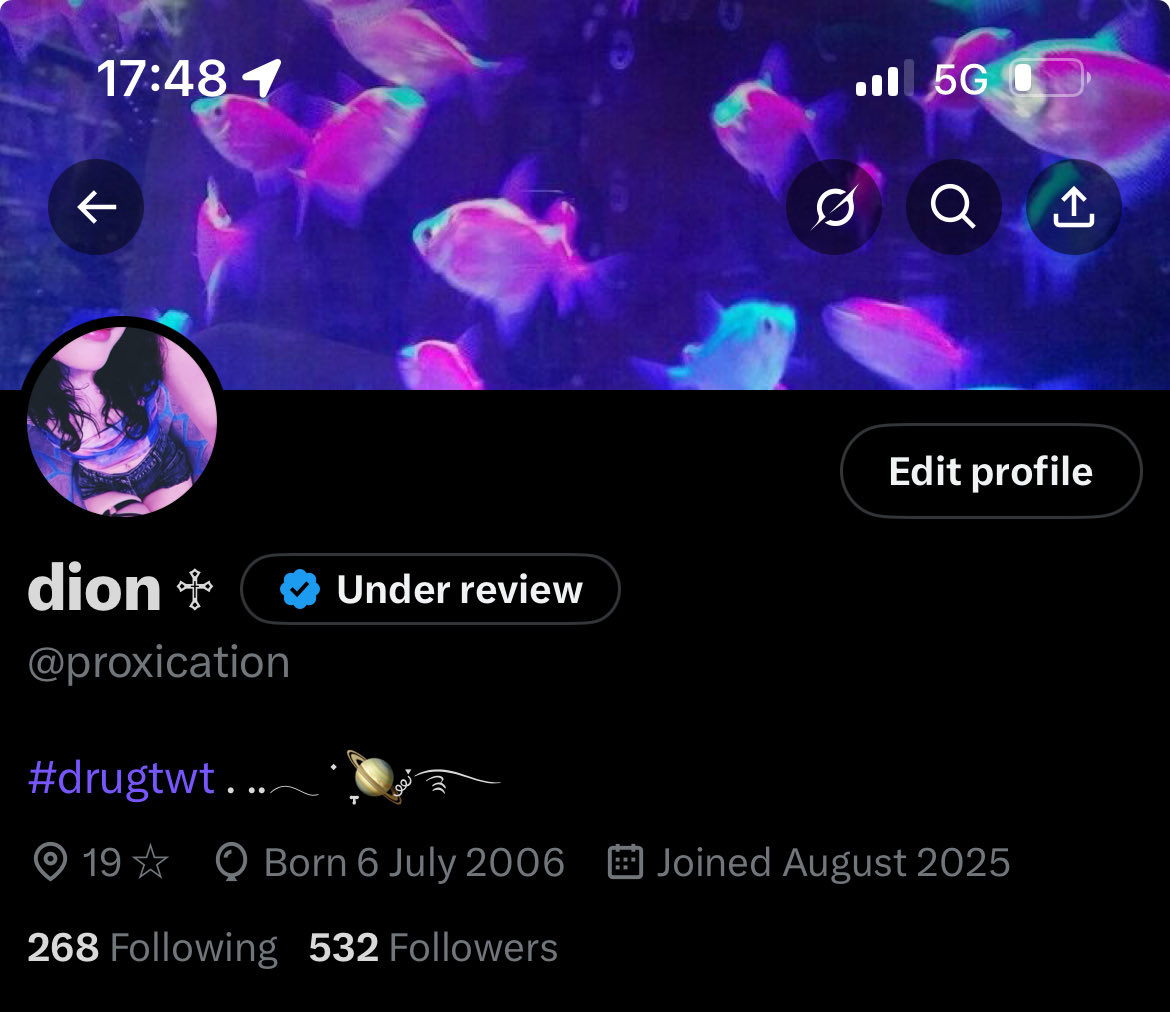 dion ☆ tweet media