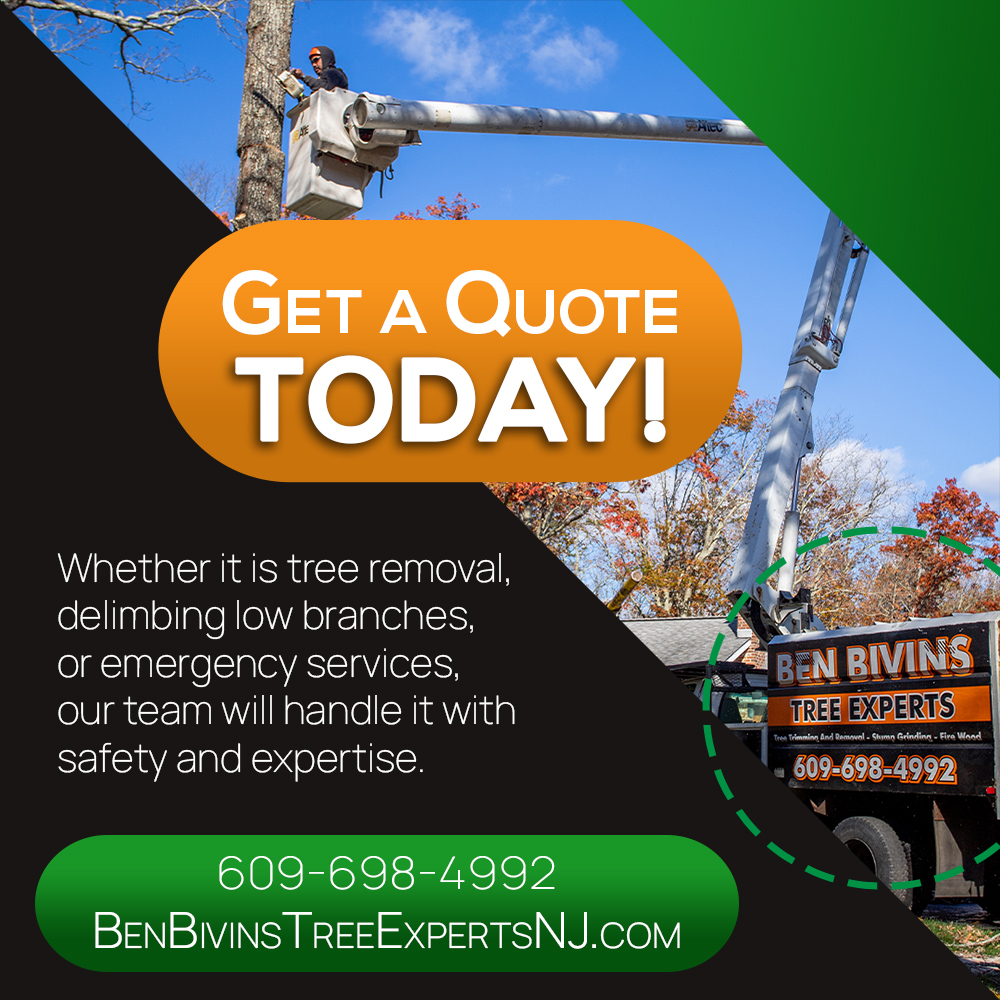BivinsTree's tweet photo. Our experienced, licensed, &amp; insured team has the equipment &amp; expertise to handle jobs of all sizes. 
📞 609-698-4992

#TreeServiceNJ #TreeRemoval #TreeTrimming #EmergencyTreeService #OceanCountyNJ #TreeCare #LocalBusiness #PropertyMaintenance #LicensedAndInsured https://t.co/1uElHdJ68F