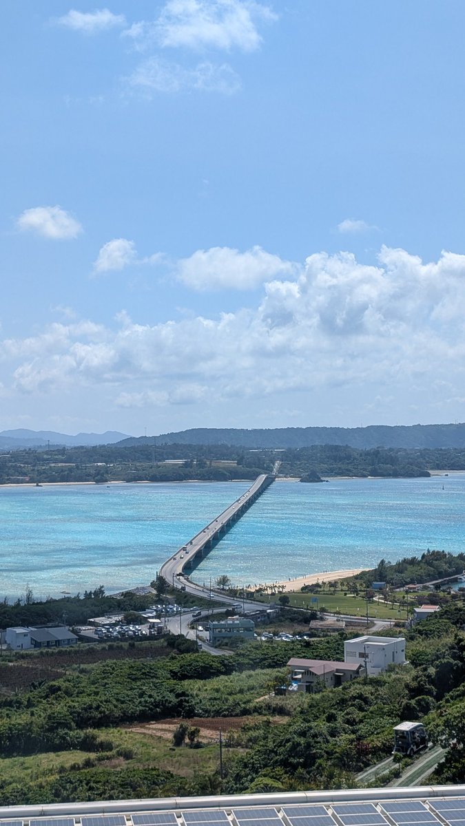 Cedar_Forest198's tweet photo. 沖縄から帰還。

この旅行でわかったこと。
さんぴん茶がとにかく旨かった。 https://t.co/NpzFK6oOc3