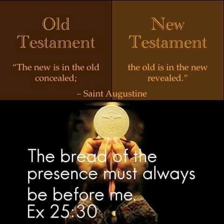 Luke Haskell tweet media