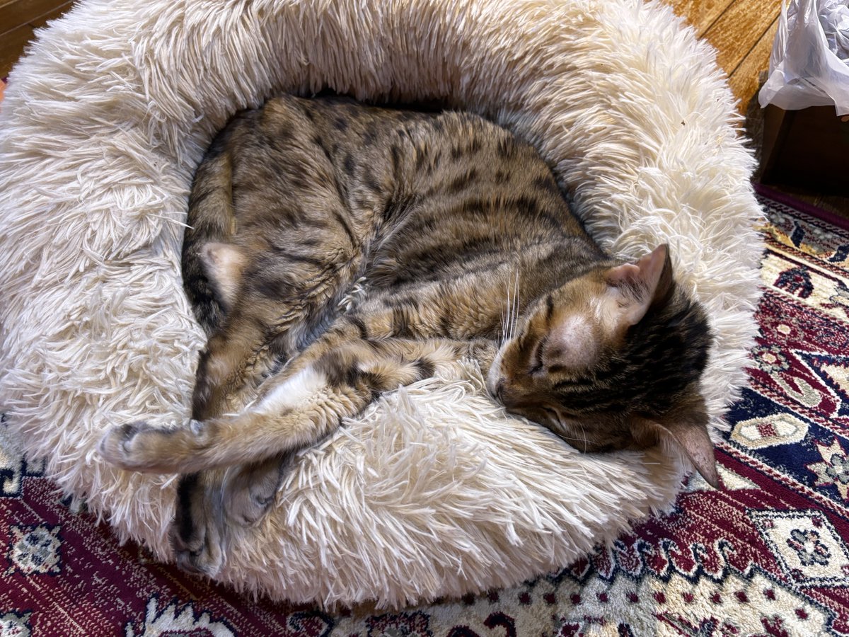 篠原千絵 tweet media