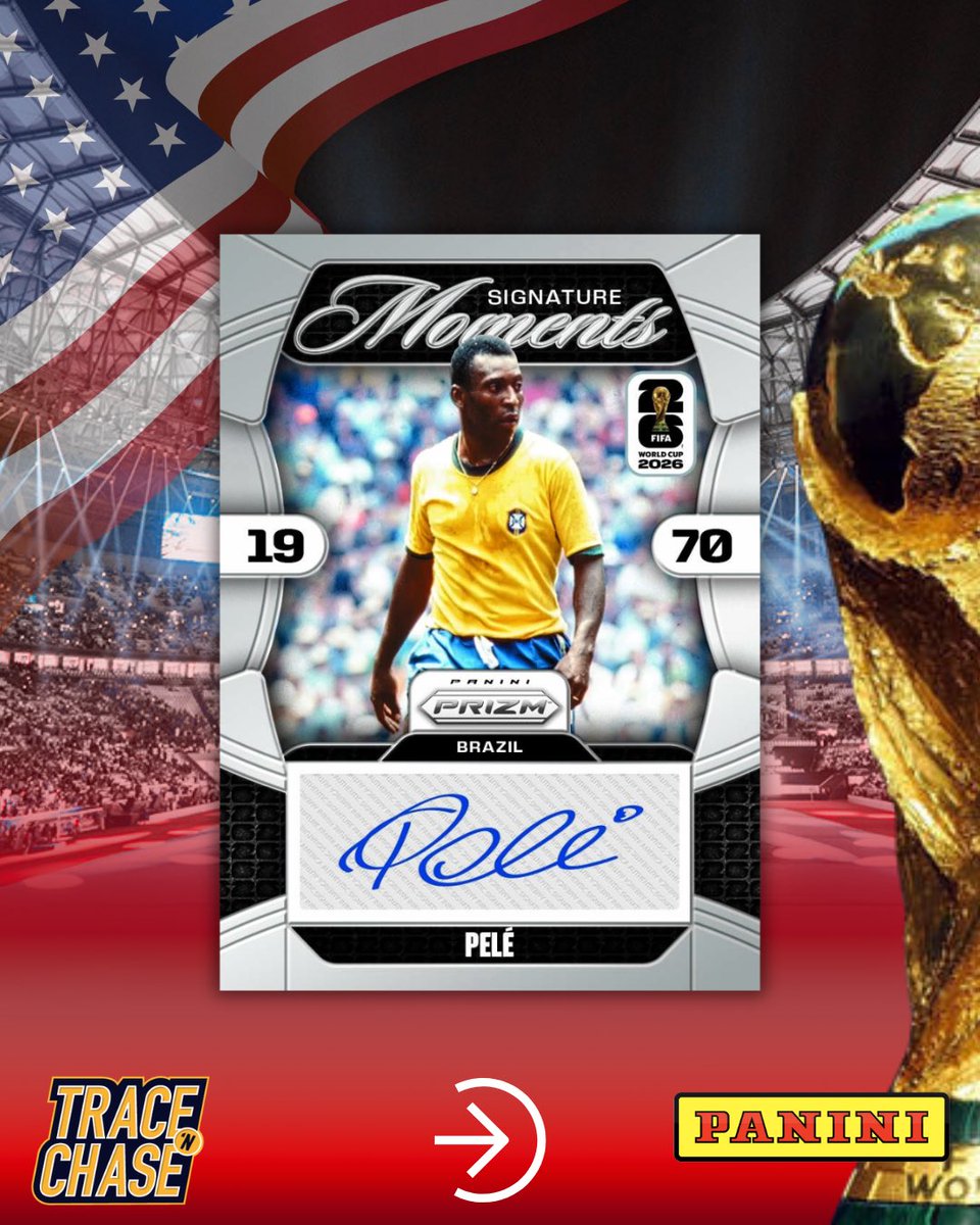 Trace ‘n Chase USA tweet media