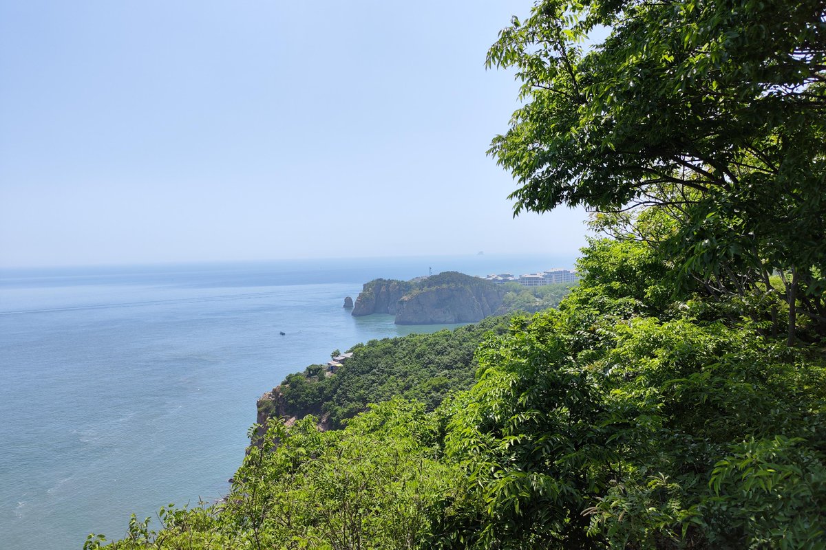 Angela Gustafson tweet media