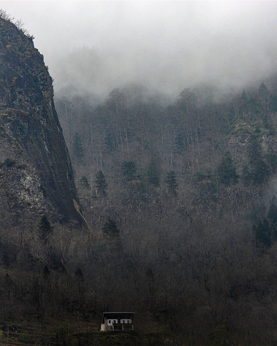 H a k a n İ p e k ç i tweet media