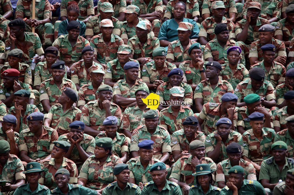 EDevolutionZW tweet media