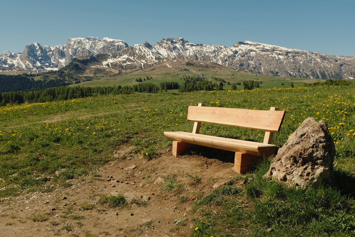 that's that me es cendol tweet media