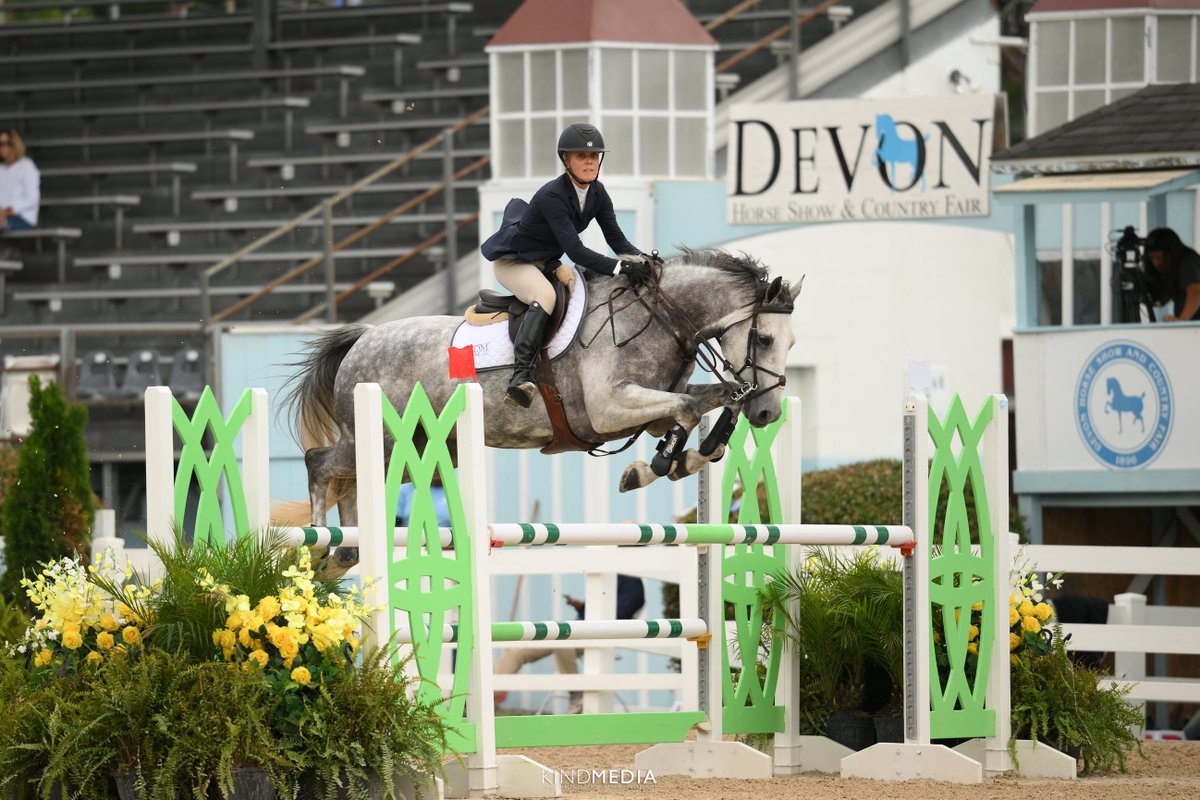 bigeq's tweet photo. Looking for an extraordinary Junior/Amateur jumper that can take you all the way to the Grand Prix? Meet MMR Drumrankin Irish: this special guy has it all, and more! “Irish” (16.2, G, 2017) is sired by Cruising Encore, clone of the world-renowned ISH… https://t.co/cPmm412nn1 https://t.co/89F6lXpGWq