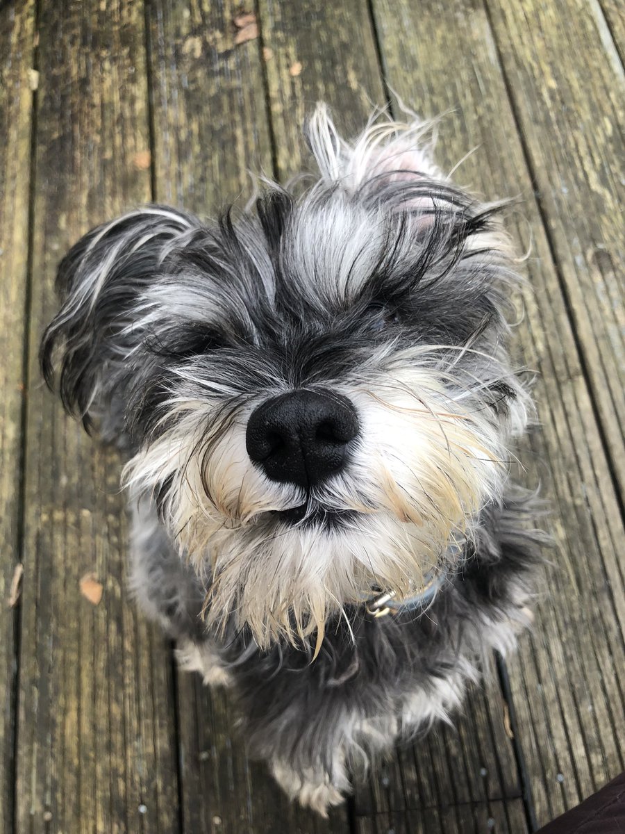 Emma Aitken 💝🦩🛍️ tweet media