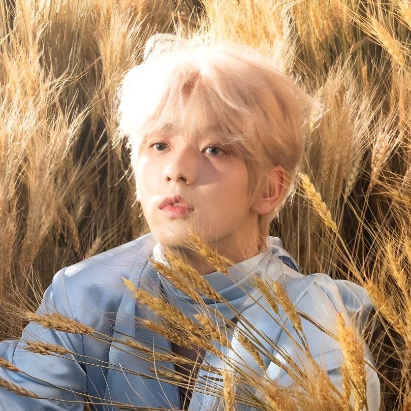 .✦ ݁˖! moyalienz݁ ˖Ი𐑼⋆ tweet media