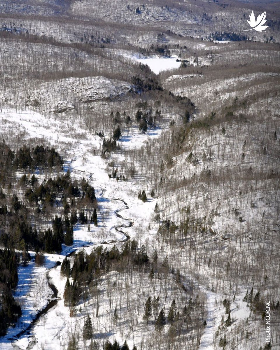 NatureConservancy.ca | Conservationdelanature.ca tweet media