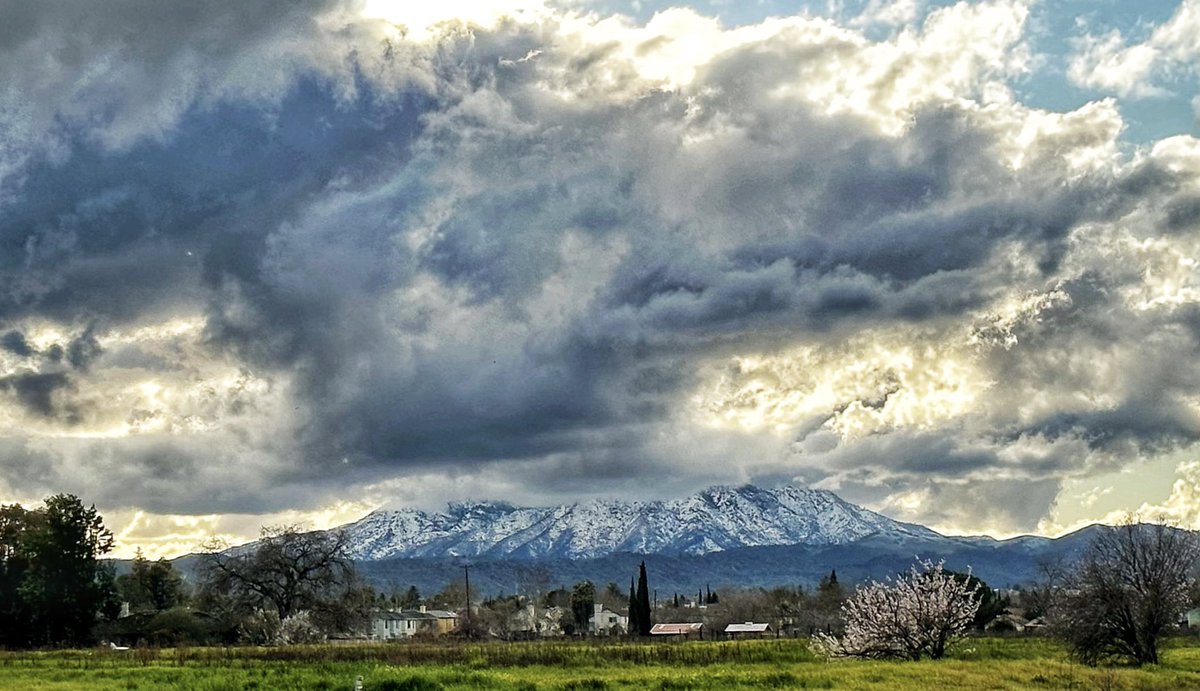 AnitaSamore tweet media