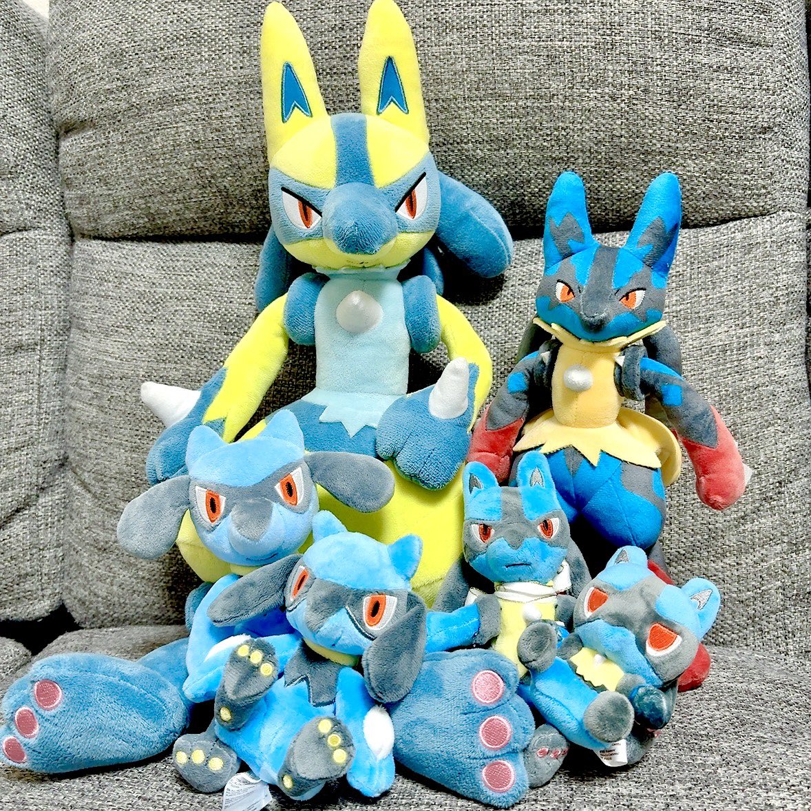 * Ayaka🐥🌙*゚ tweet media