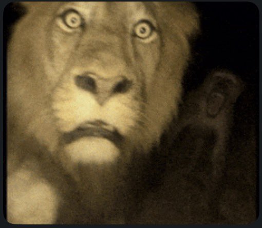 Oyegun 🇩🇪 tweet media