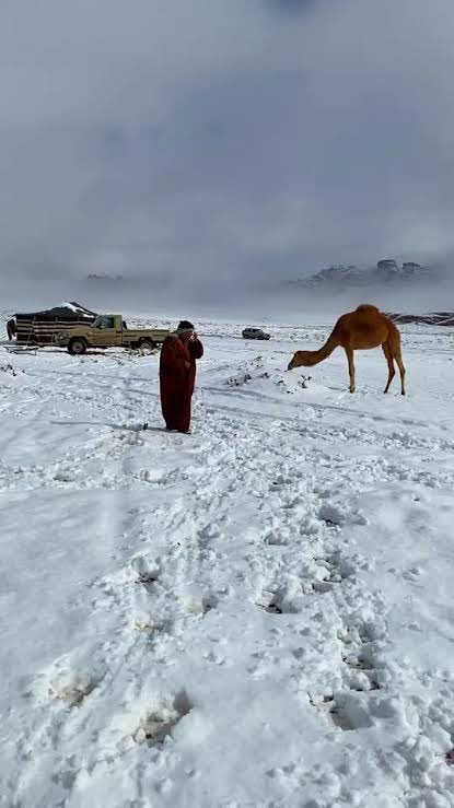 Discover Tabuk | إكتشف . تـبـوكـ tweet media