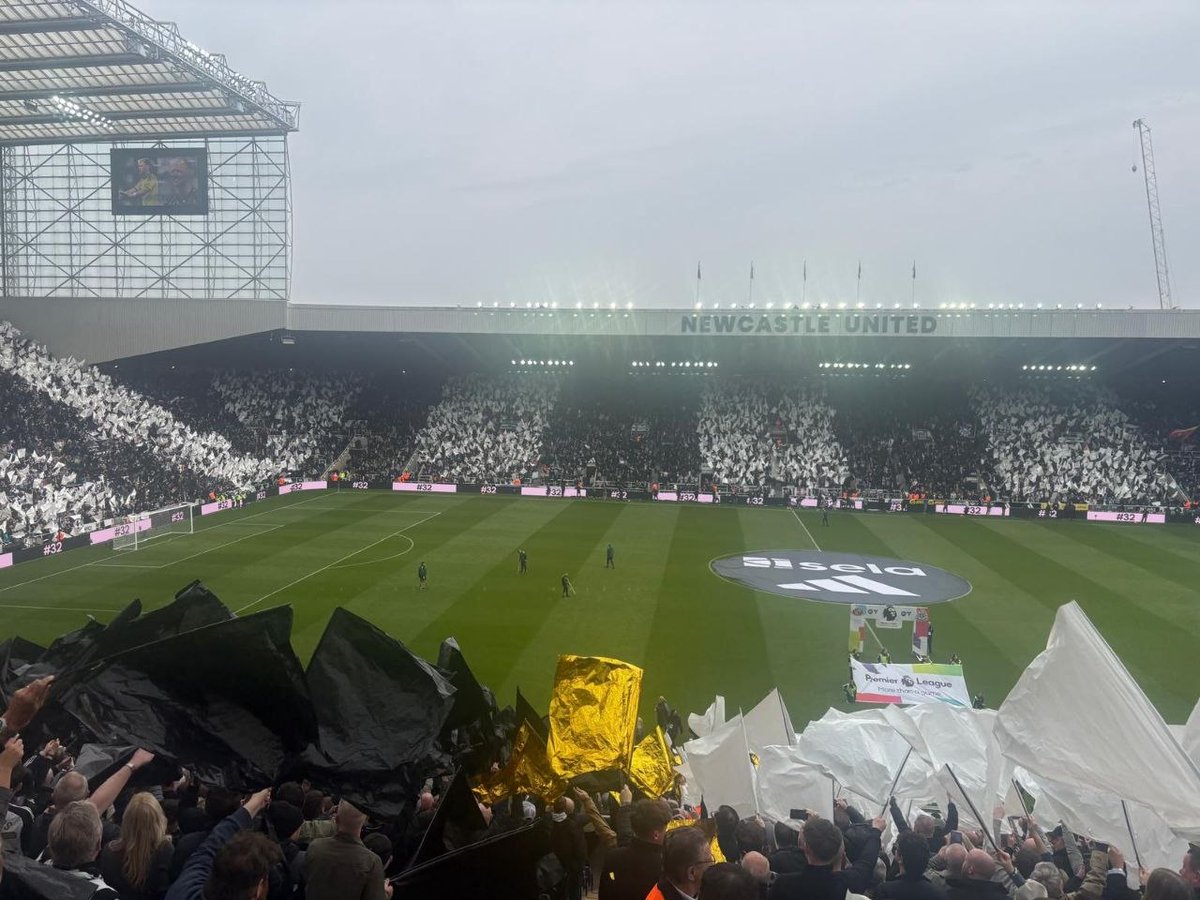 I Am Laeddis - Unhinged tweet media