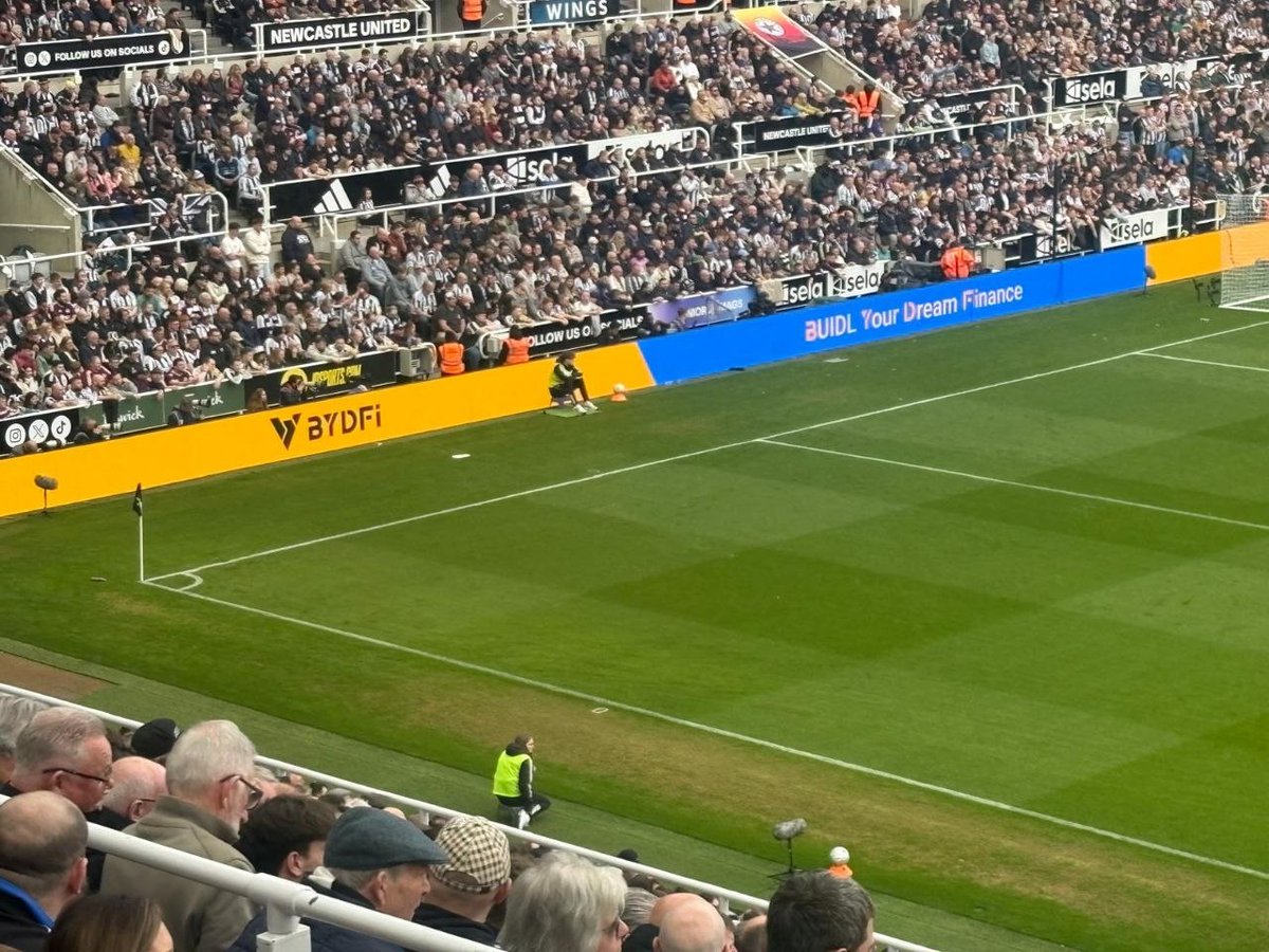 I Am Laeddis - Unhinged tweet media