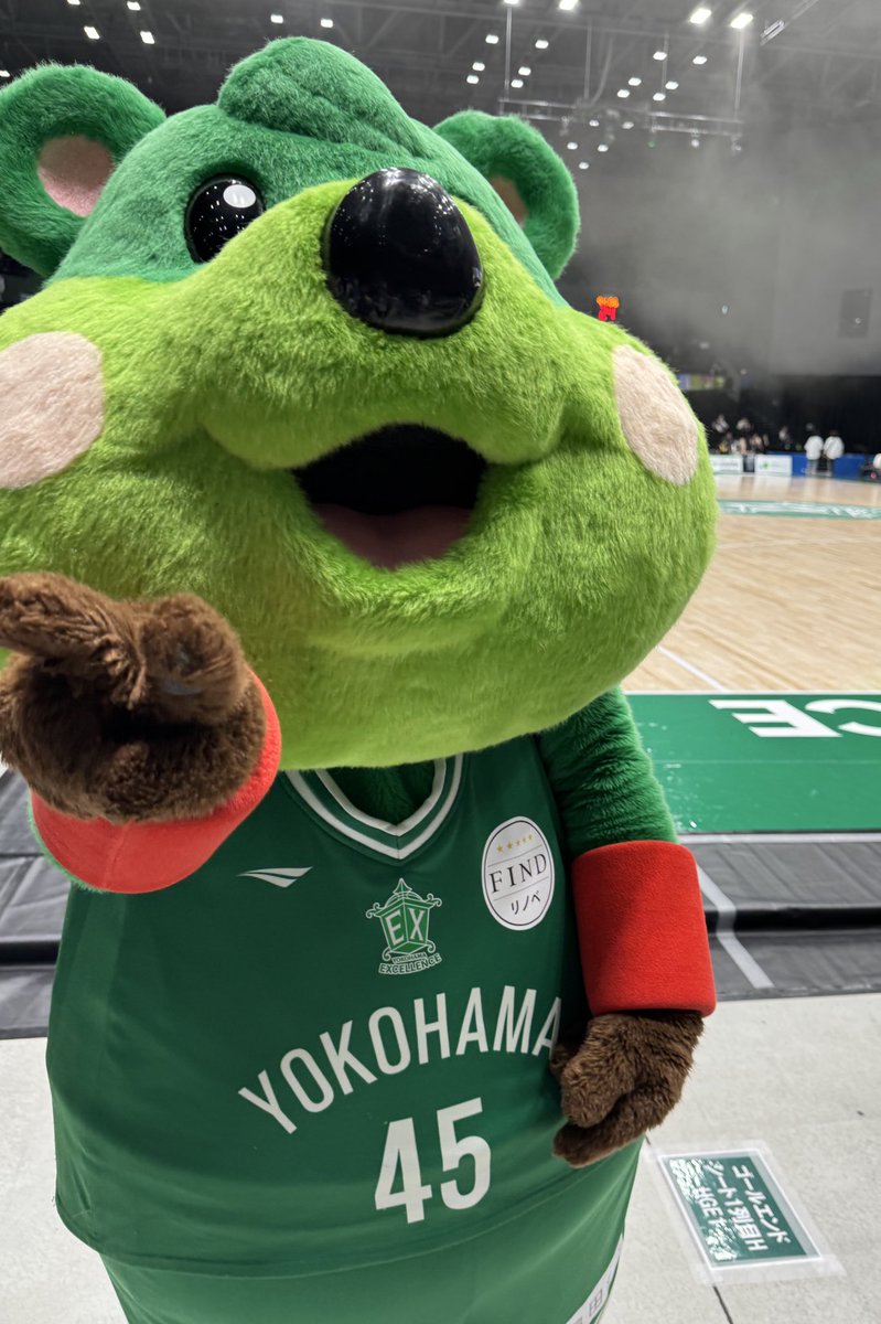 tanuchan104's tweet image. 念願のPick &amp;amp;Rollにも会えて嫁ちゃん画を見せられた☺️
Rollは初日に見せたの２日目にも覚えててくれて、「おう！昨日そこに座ってたん覚えてるで👈」って言うてくれた✨
Pickは「僕らだ〜🫵！」って喜んでくれた✨
2人ともニャリンがま口👛撫でてくれたしええ子達やった😍
#Pick
#Roll