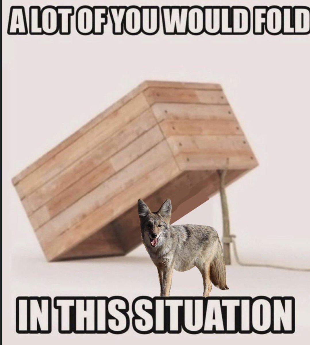 Wait, I’m Yoted? tweet media